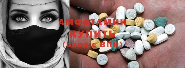 ECSTASY Покачи