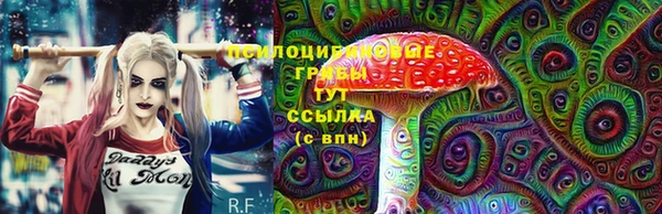 соль ск Беломорск