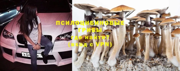 соль ск Белоозёрский